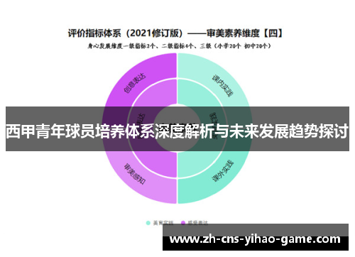 西甲青年球员培养体系深度解析与未来发展趋势探讨